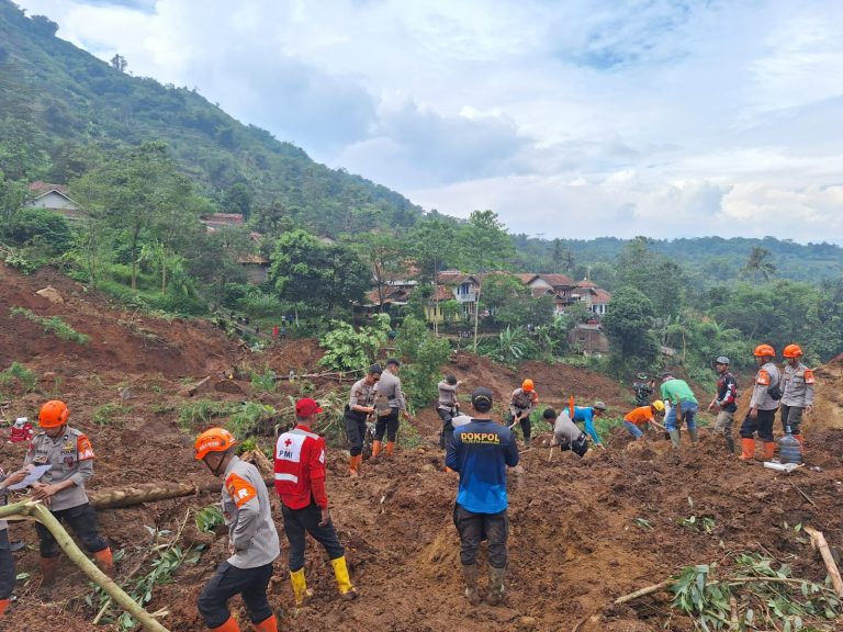 22dd05fb-d103-491b-94cf-8311c05ca783