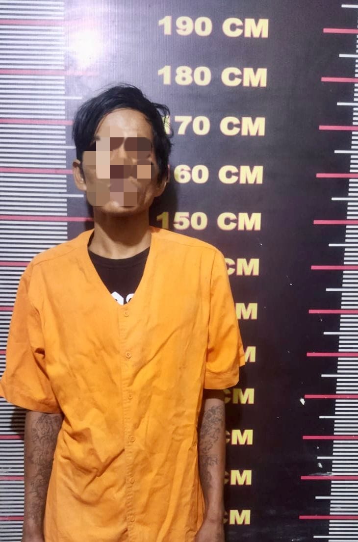 ed68f298-a975-428a-90a6-f03455987978