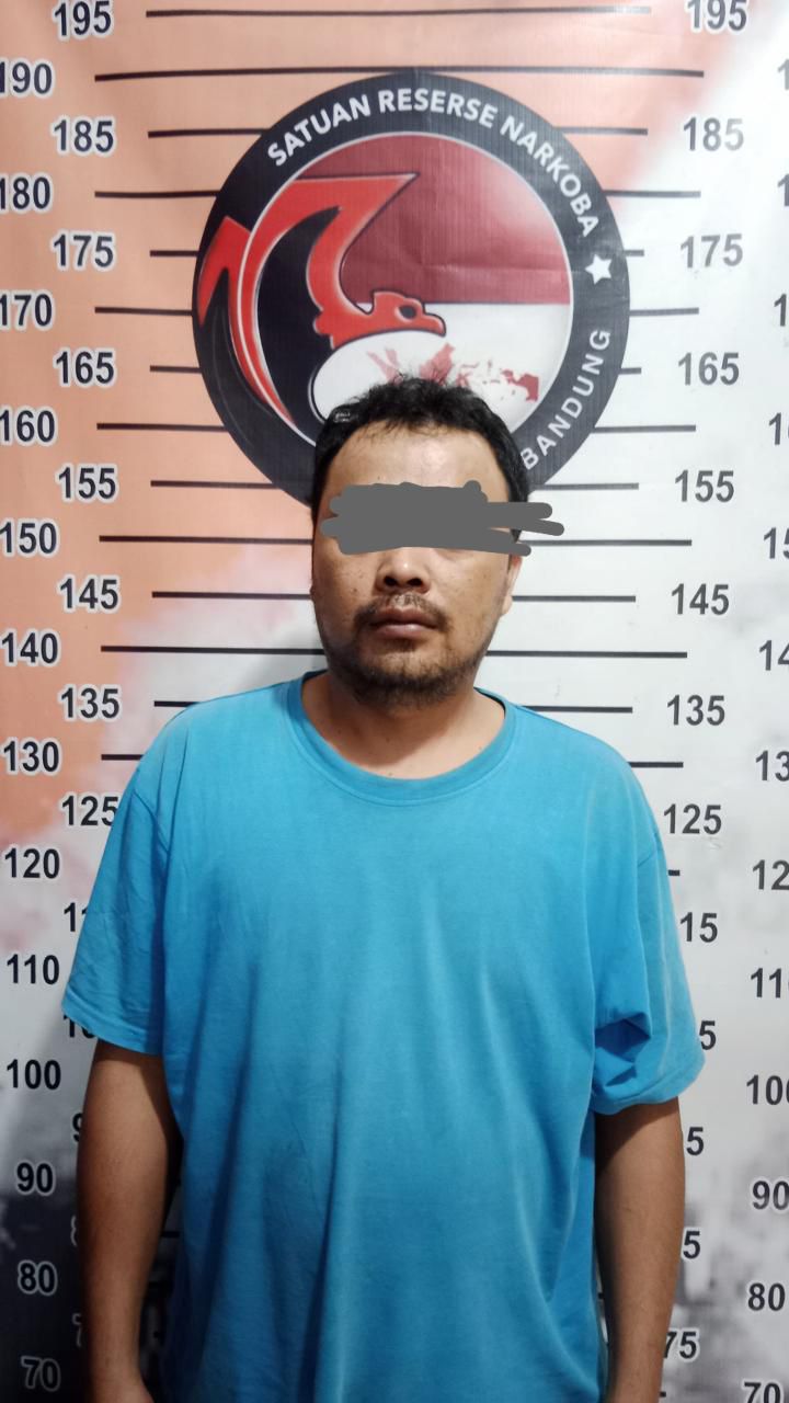 997a5bb3-2095-4026-9a69-b950f8b4cb4d