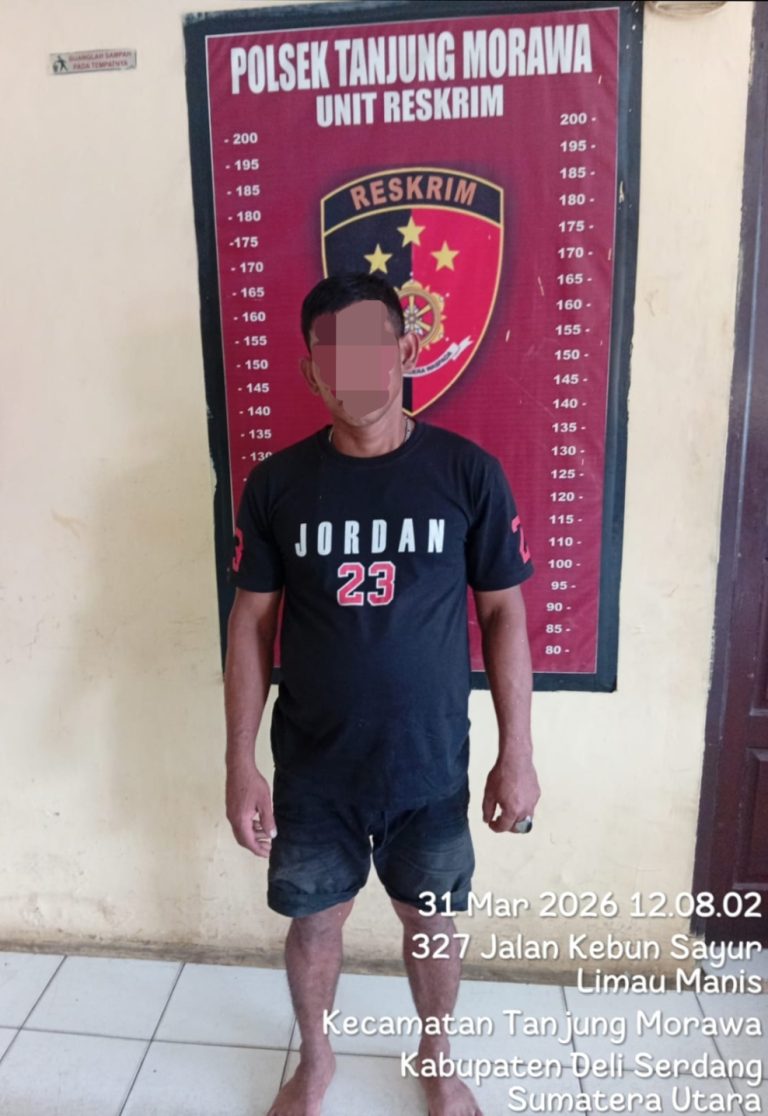 0ed5d362-460b-4358-bc83-01a755d4ae36