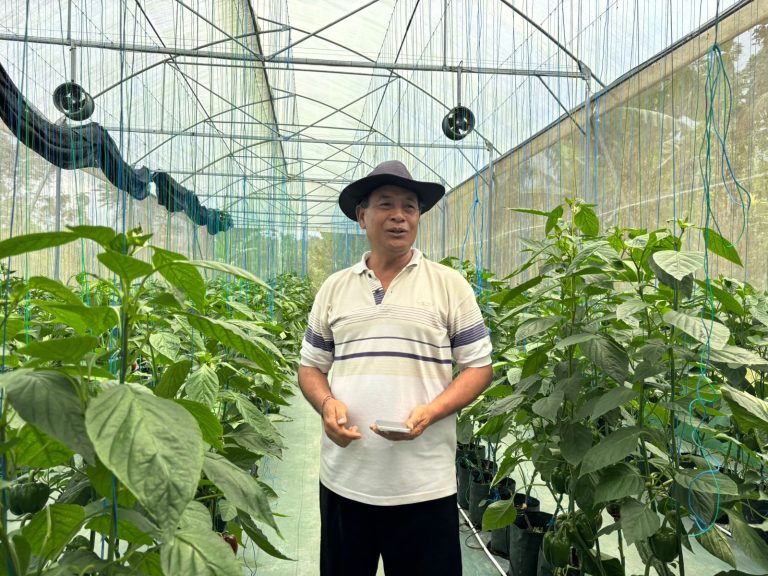 2e07c6ba-1178-4ca4-94aa-9bbc1ed23fe8