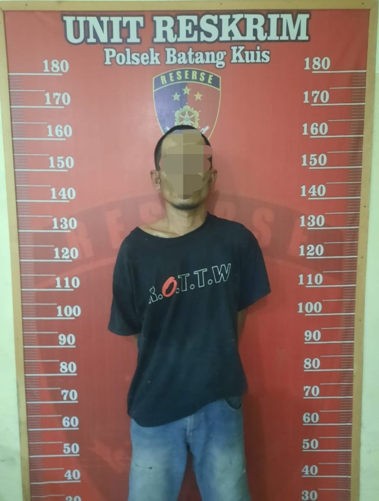 aec31bfa-16d5-4fa1-8759-2b25f92164a7